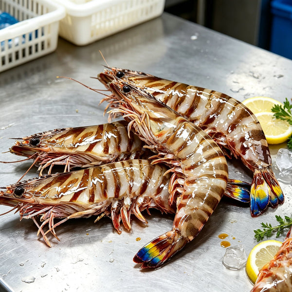 Fresh-Frozen Tiger Prawns for Grilling